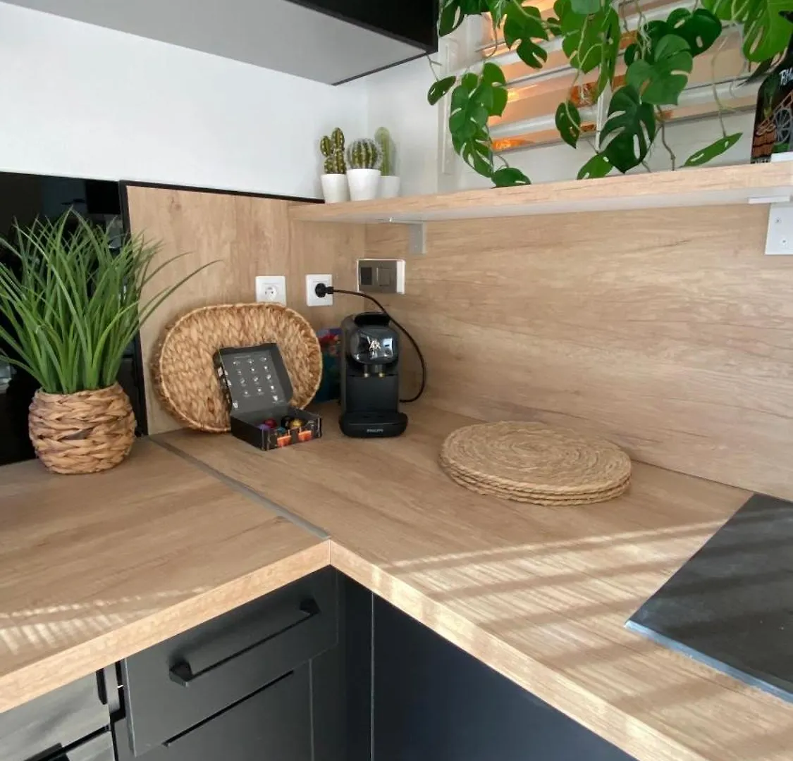 Apartment T1 Luxe A 2 Minutes De La Plage Les Trois-Ilets